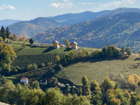 Zlatar Lake Hill